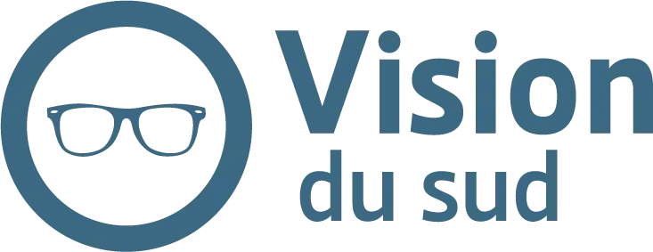 Logo Vision du Sud